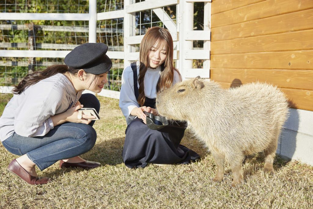 おかやまフォレストパーク ドイツの森