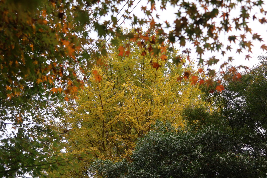 三谷公園金剛童子