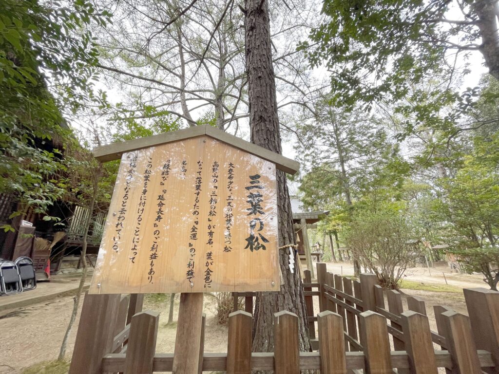 窪八幡宮