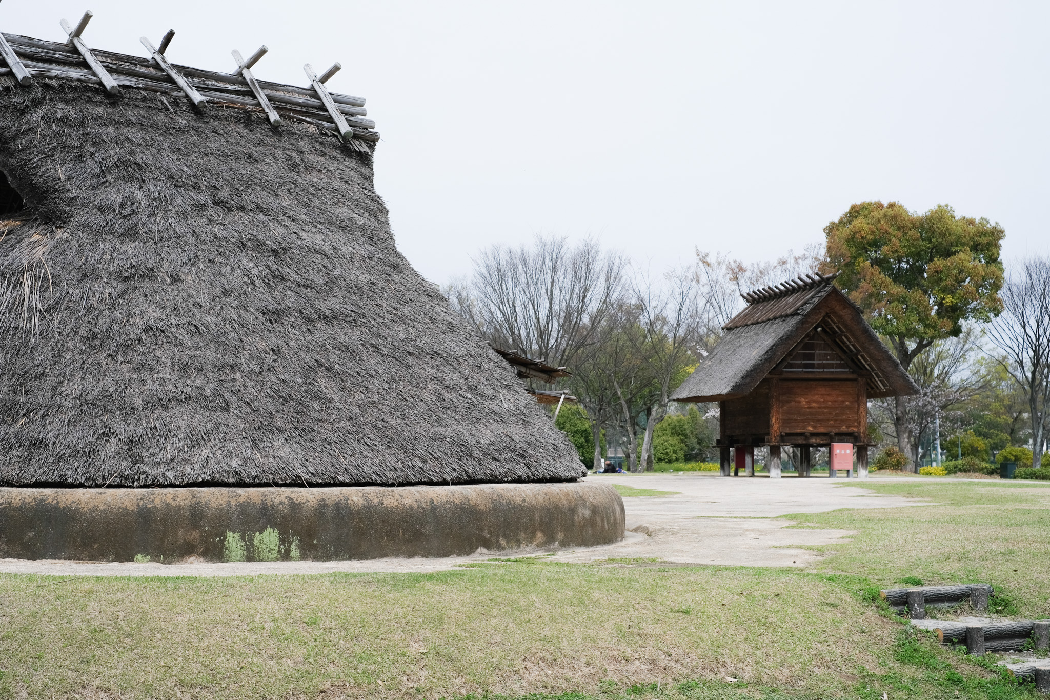 日本で初めて弥生時代前期の集落と水田が発見された津島遺跡～遺跡＆スポーツミュージアム