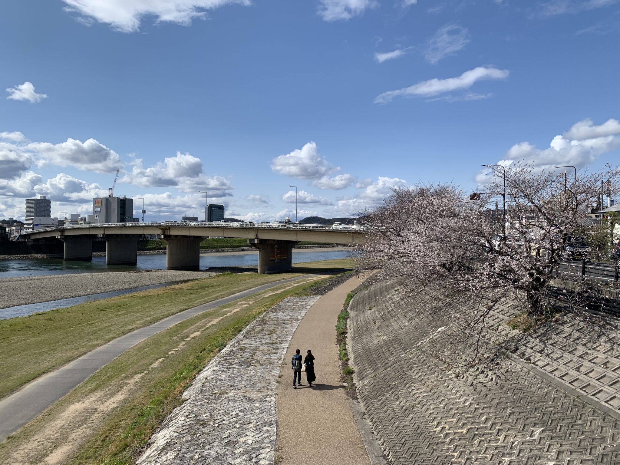 さくらカーニバルの舞台「旭川さくらみち」の歴史