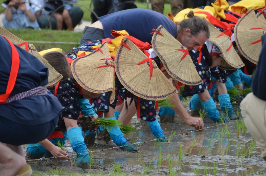 お田植え祭