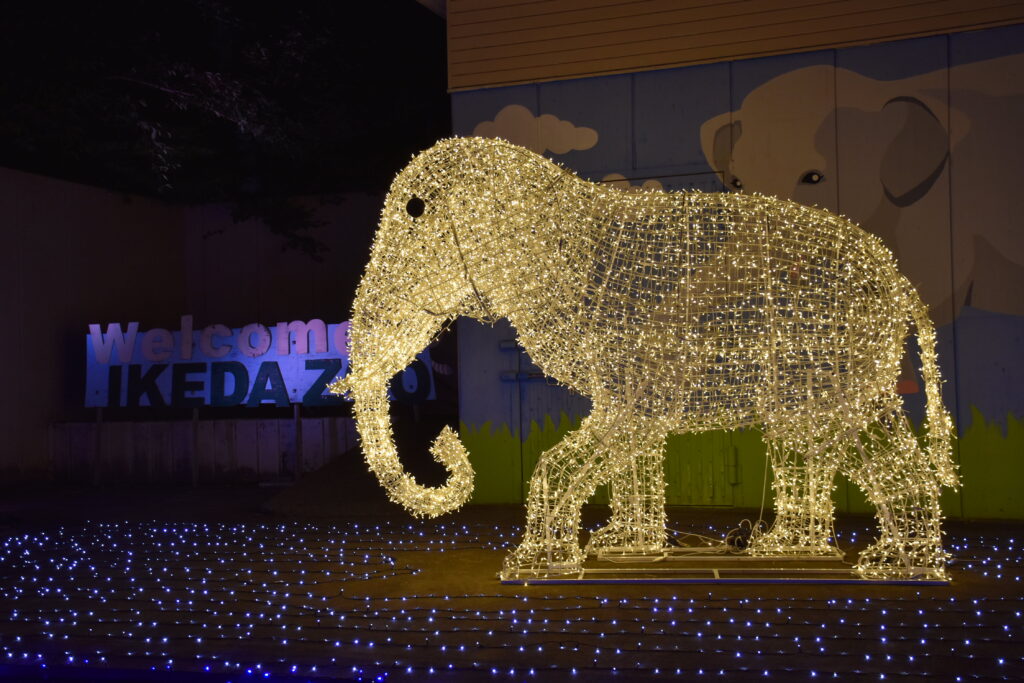 池田動物園 光のナイトズー2025