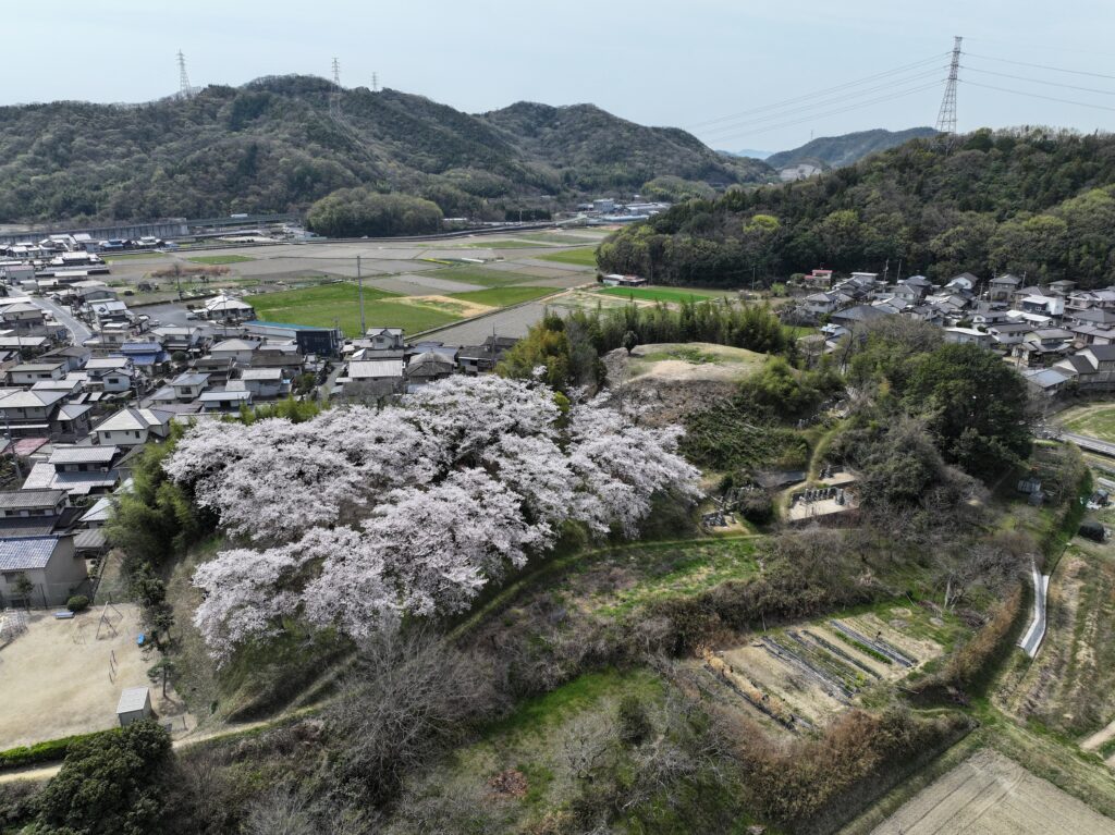 浦間茶臼山古墳