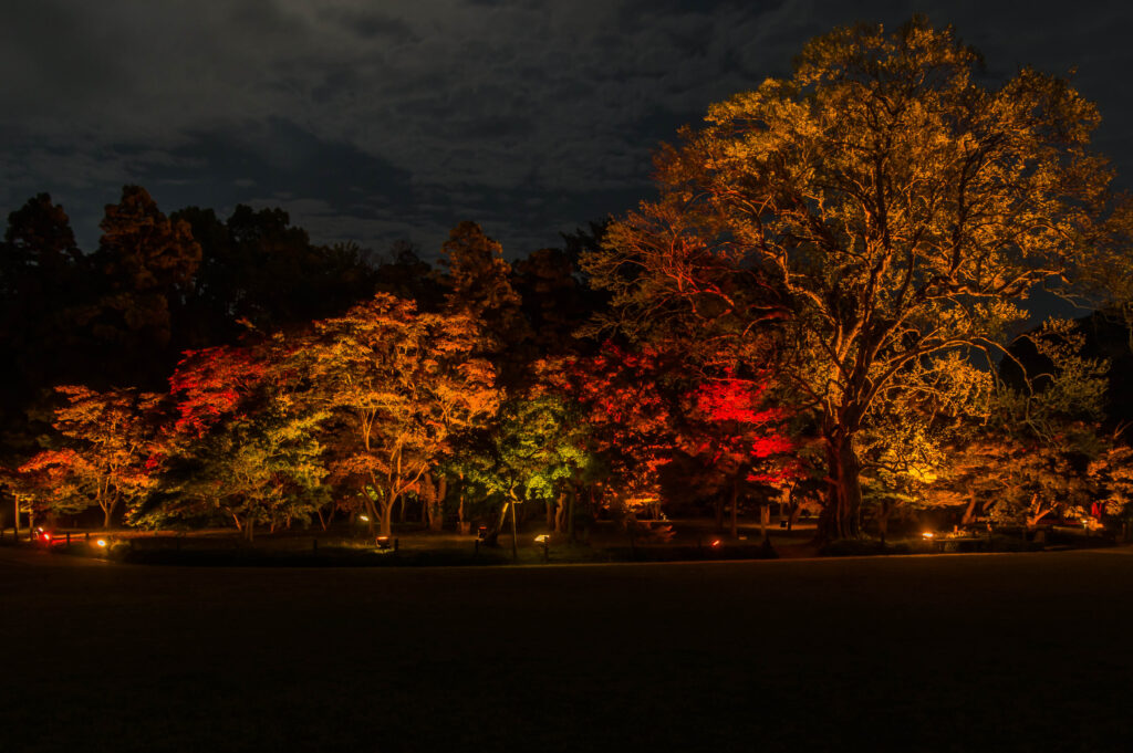 夜間特別開園　秋の幻想庭園