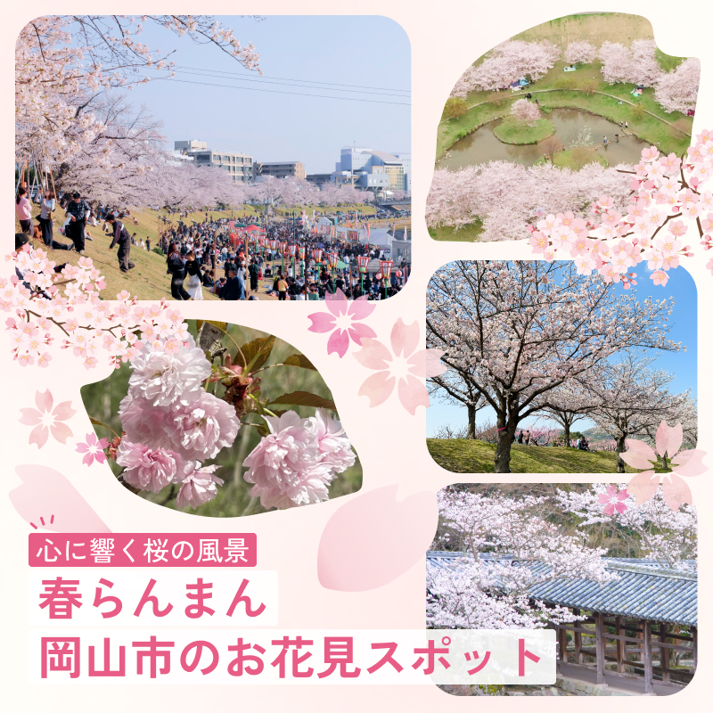 心に響く桜の風景 春らんまん岡山市のお花見スポット