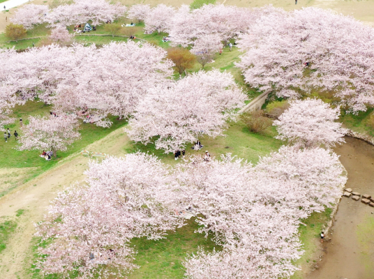百間川せせらぎ広場