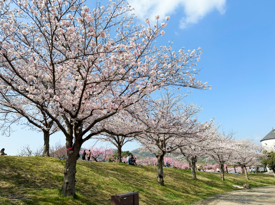 岡山市サウスヴィレッジ