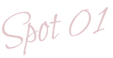 spot01