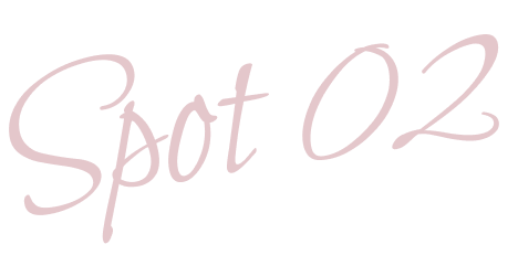 spot02
