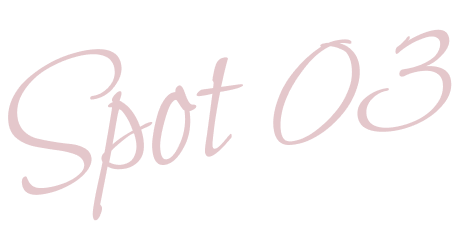 spot03