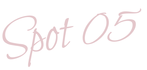 spot05